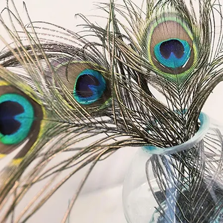 Apartament Ruegen, Ostseebad Sellin (Rugen)