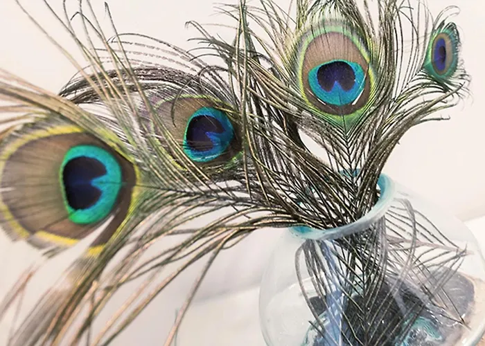 Apartament Ruegen, Ostseebad Sellin (Rugen)